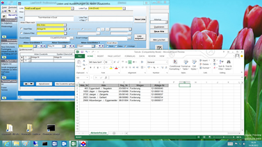 Office 2013 - Anwaltssoftware LawFirm: selbst frei definierte Auswertung in Excel 2013 ausgeben